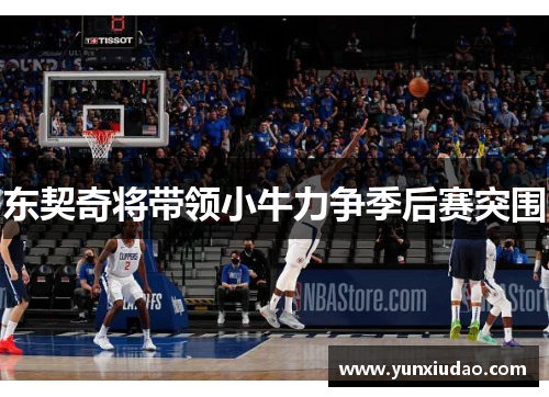 东契奇将带领小牛力争季后赛突围