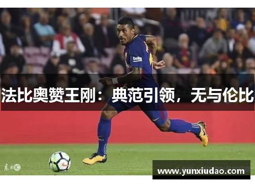 法比奥赞王刚：典范引领，无与伦比